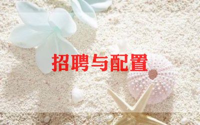 招聘专员的工作总结范文5篇