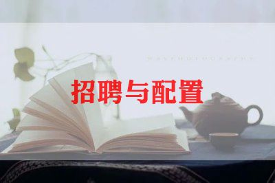 招聘公司工作总结6篇