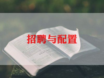 招聘元的工作计划5篇