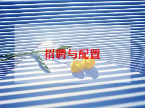 招聘2023工作总结5篇