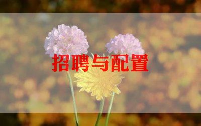 事业单位招聘个人总结范文7篇