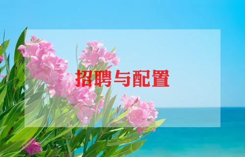 招聘专员的工作计划范文5篇