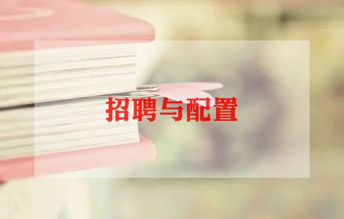 招聘专员日工作总结精选5篇