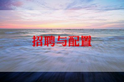 招聘专员的工作计划怎么写5篇