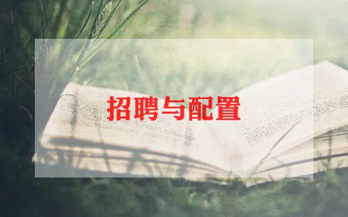 招聘的工作总结6篇