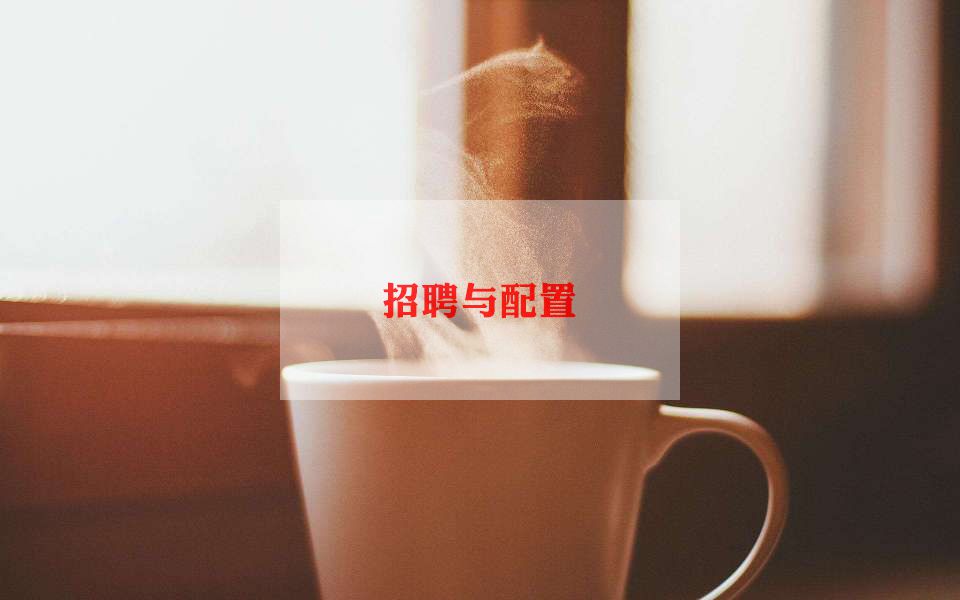 人事招聘2023工作计划7篇