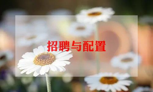 招聘专员月总结8篇
