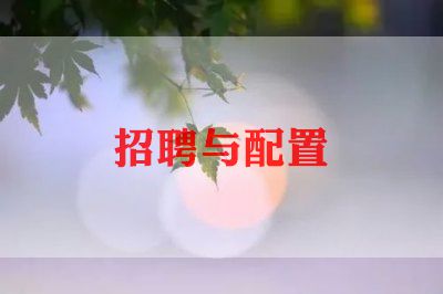 精选关于招聘的工作总结范文20235篇