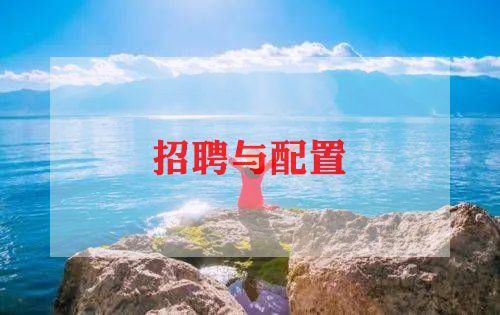 招聘专员的年度总结6篇