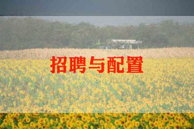 招聘教师总结6篇