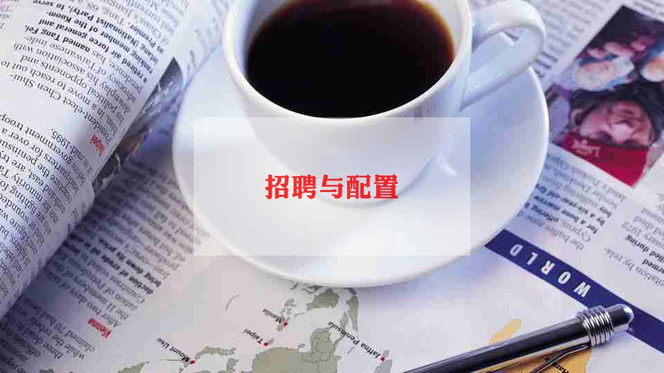 事业单位招聘工作计划5篇