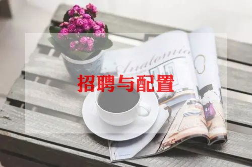 2024招聘工作总结8篇
