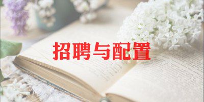 人力资源的工作计划范文5篇