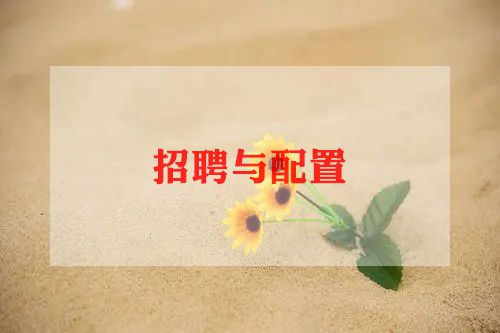 2024招聘工作计划最新范文5篇