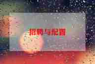 招聘专员工作计划5篇