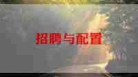 事业单位招聘工作计划5篇