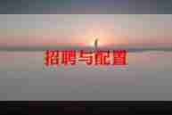 2024招聘工作总结推荐6篇