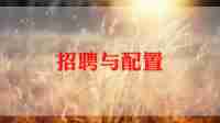 招聘半年度工作总结优质6篇