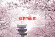 招聘年终工作总结范文5篇