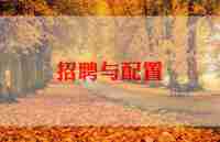 2024招聘工作总结参考5篇