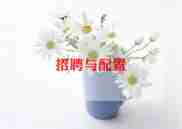 模拟招聘心得5篇
