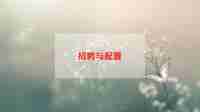 2024人力资源招聘工作计划范文5篇