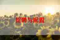 招聘的个人总结7篇