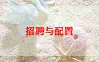 2024年度招聘工作总结7篇