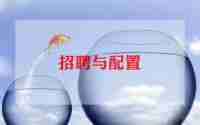 招聘专员日工作总结6篇