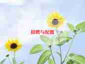 招聘工作年终工作总结6篇