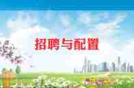招聘工作工作总结优质5篇