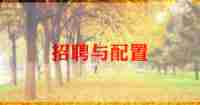 招聘专员2024年工作计划5篇