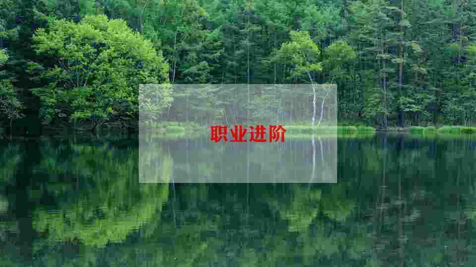 个人销售简历模板6篇