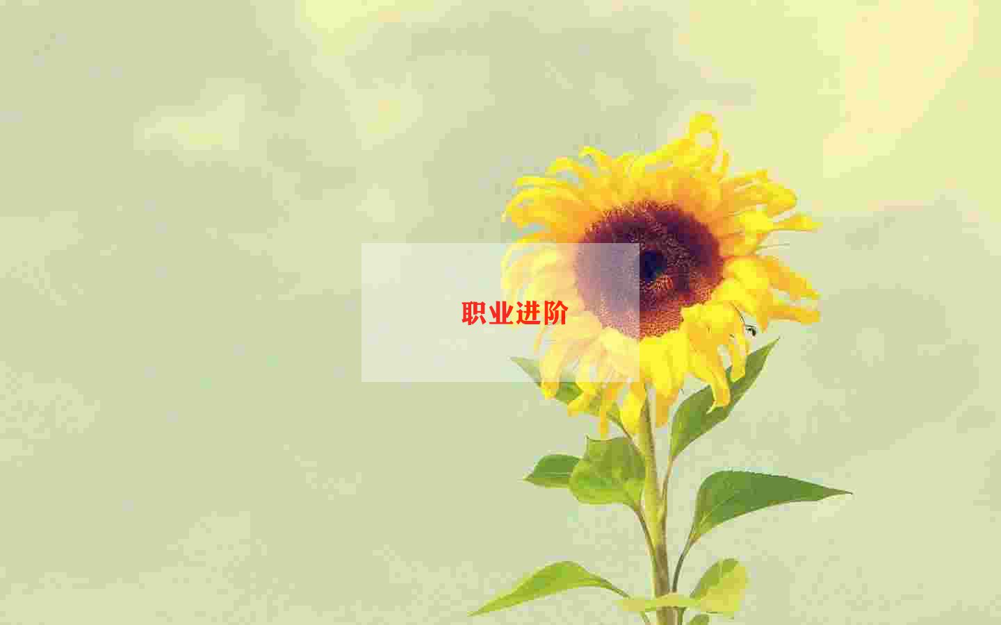 职业学院自我鉴定5篇