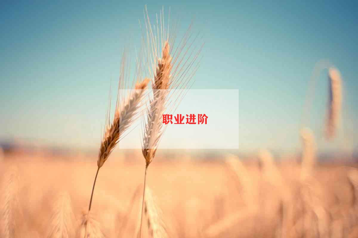 职业组工作计划5篇
