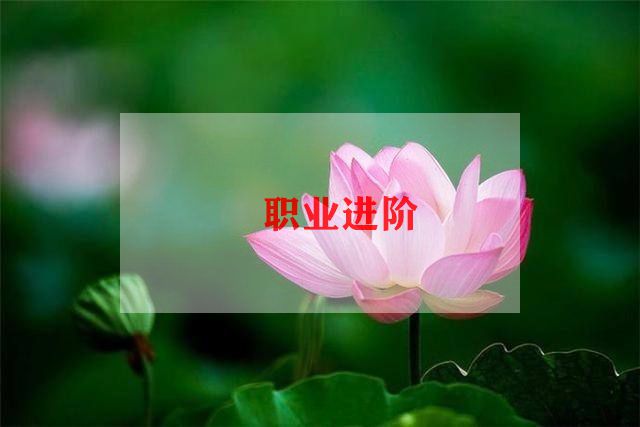 应届生简历毕业模板7篇
