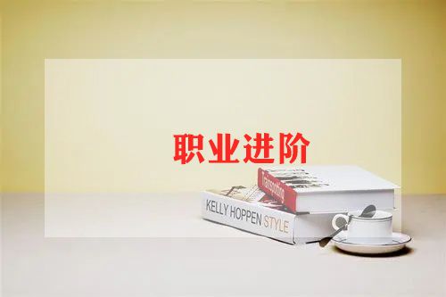 职业总结报告8篇