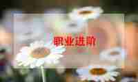 应聘个人简历模板范文6篇