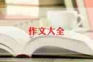 假文盲作文600字8篇
