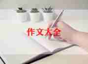 假文盲作文600字8篇