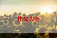 张杰作文5篇
