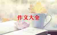 n年后的我作文参考6篇